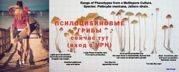a pvp Заводоуковск