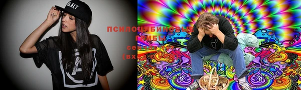 мдпв Заволжье